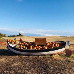 St Abbs pumpkins