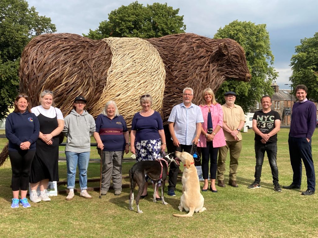 Kelton Wicker Belted Galloway in Castle Douglas